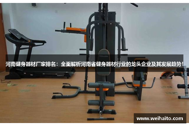 河南健身器材厂家排名：全面解析河南省健身器材行业的龙头企业及其发展趋势！
