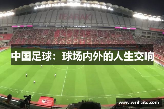 中国足球：球场内外的人生交响